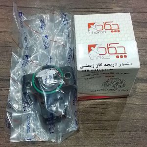 سنسور دریچه گاز زیمنس دو شاخ مگنتی چکاد